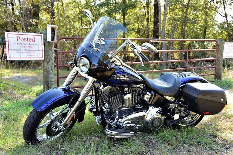 Rocker Gregg Allman’s custom motorcycle will be offered at Florida auction