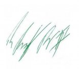 Andy signature